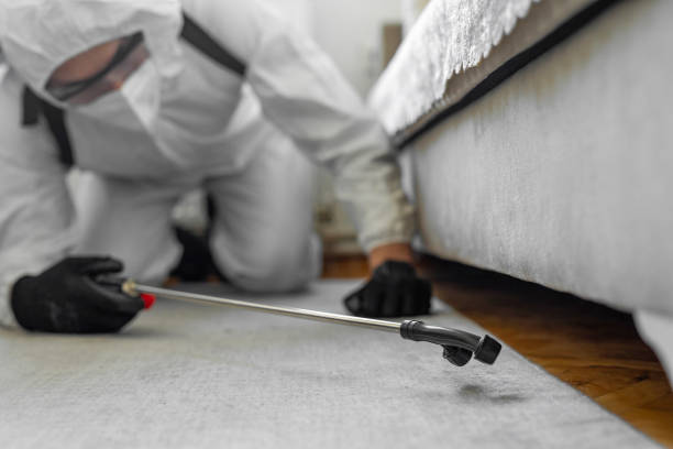 Professional Pest Control technician working in Pine Air, FL